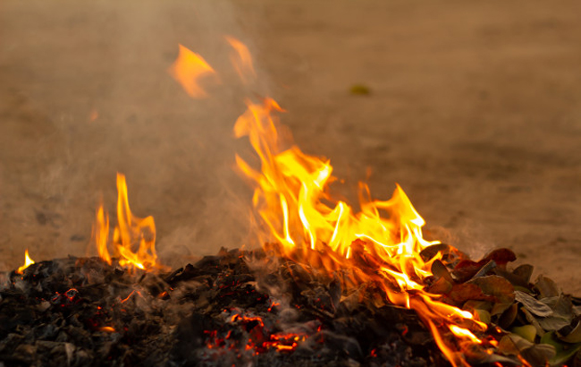 Градус перемен: как глобальное потепление влияет на Украину и мир